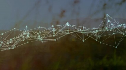 Poster - On startup, semi-transparent network mesh pulsing shifting across meadow for visualizing data flow