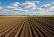 © Sebelas Studio - Farmland soil prepared for cultivation with blue sky and clouds in background
