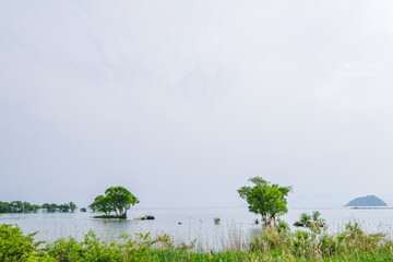 Aufkleber - 滋賀県の北びわ湖