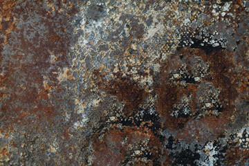 Poster - rusty old metal texture background