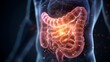 © Tanvir - A visualization of human health and digestion issues, featuring a medical glow around the anatomy of the stomach and intestines, indicating pain and disease treatment. .
