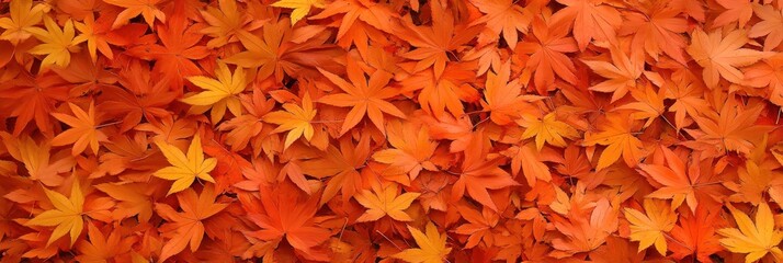 Orange Fall Background. Autumn Park Scene with Maple Leaves in Vibrant Orange Tones