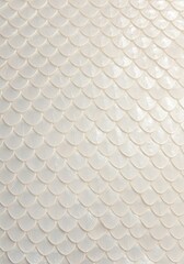 Leinwandbilder - Abstract Repeating White Scales Background Texture for Design Elements
