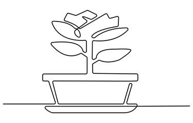Poster - House plant outline drawing illustration. one continuous line drawing of plant in the pot for house decoration.
