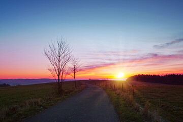 Wall Mural - colorful sunset scene featuring a solitary tree in the foreground in spring