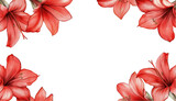 Red Amaryllis Flower Frame on Black Background