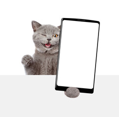 Aufkleber - Winking cat holding big smartphone with white blank screen and looking above blank banner. Empty free space for mock up. Isolated on white background
