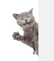 Aufkleber - Happy cat dressed like a doctor with stethoscope on his neck looks from behind blank white banner. isolated on white background
