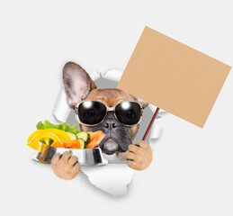 Aufkleber - French bulldog puppy wearing sunglasses holds bowl of vegetables  and looks through the hole in white paper and shows blank placard