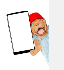 Poster - Happy Mastiff puppy wearing red cap and denim overalls with tool belt shows big smartphone with blank screen behind blank wihte banner. Empty space for text. Isolated on white background