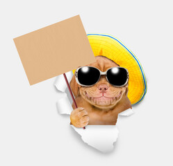 Leinwandbilder - Happy Mastiff puppy wearing summer hat and sunglasses looking through the hole in white paper and showing blank cardboard on wooden stick