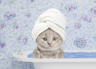 Aufkleber - Funny kitten wearing shower cap takes the bath at home and shows thumbs up gesture