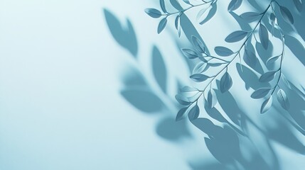 Poster - Minimalistic abstract gentle light blue background for product presentation with light and intricate shadow from tree branches on wall.