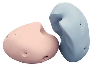 Poster - Soft abstract forms in pastel pink and blue with smooth texture and organic shapes