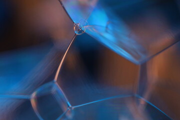 Poster - Blue liquid structure, connection lines, glossy surfaces, scientific abstraction, molecular structure 