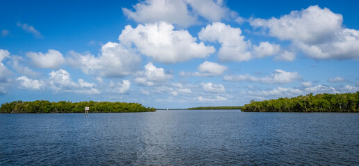 Wall Mural - chokoloskee bay in the ten thousand islands of southwest florida usa