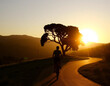 © crist.cort - Persona en bicicleta al atardecer