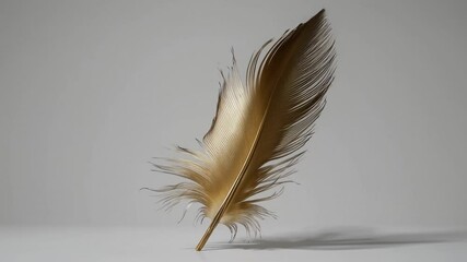 Poster - Golden feather rotating gently, casting delicate shadow against pristine white backdrop, highlighting intricate texture and ethereal lightness with mesmerizing grace