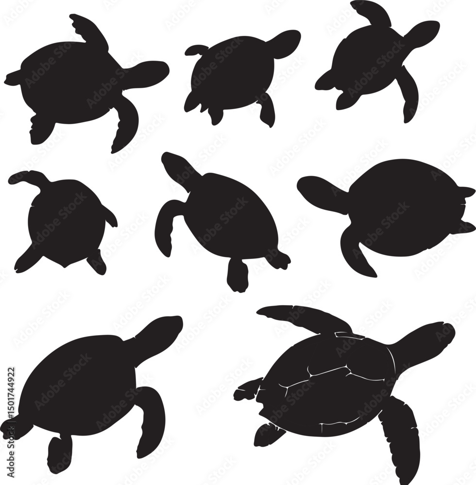Sea Turtle Silhouette Vector: Black and White Graphic Illustration of ...