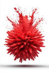 Poster - Red Paint Explosion Isolated on White Background Artistic Still Life High Angle Shot Creative Concept