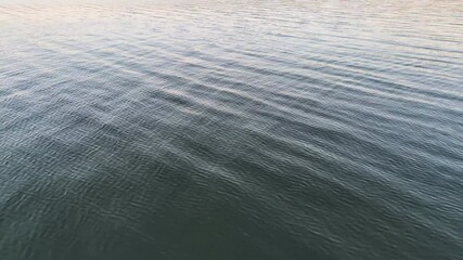 Poster - Soft daylight gleaming across water surface, generating delicate ripples reflecting calm natural landscape with serene, tranquil ambiance