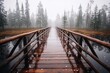 © Velar - The sunlit forest and tranquil scene of the lakeside nature trail path make for a peaceful walk