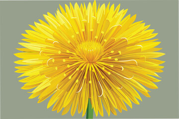 Poster - Vibrant vector illustration of a detailed yellow dandelion flower showcasing intricate petal design against a soft blue background