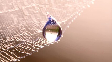 Spiderweb glistening with water droplets in soft warm light, creating a delicate and reflective network of threads