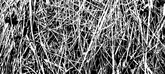 Dry grass, background, texture №4
