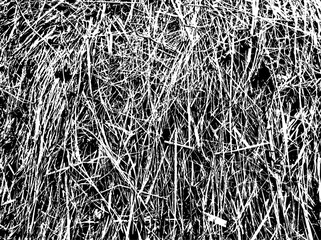 Dry grass, background, texture №7