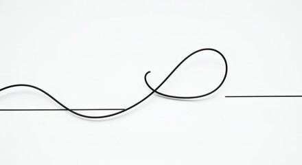 Poster - Abstract Black Cable Forms on White Background