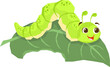 © alde - Insect Illustration