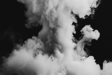Poster - Smoke swirling elegantly against a dark background in a captivating display of motion, Smoke motion on a black background