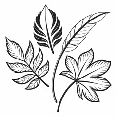 Poster - Black and white leaf pattern vector with feather and nature inspired design