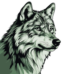  wolf, animal, vector, transparent background, isolated, canine, cute, breed, pet, predator, wildlife, nature, canis, carnivore, mammal, zoo, wild