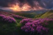 © 10 - Sunset over mountain rhododendrons
