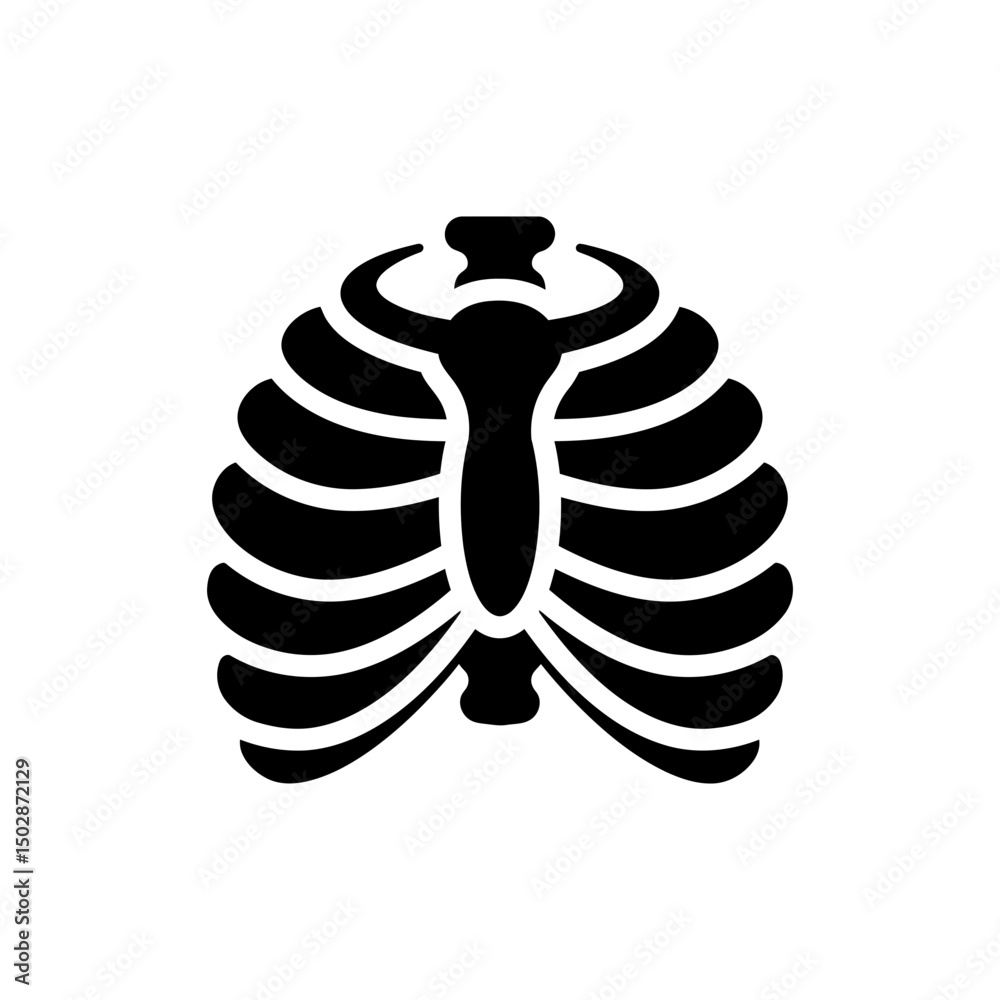 Deviantart Ribs Arched Rib Cage Front Arc Shape Human Thoracic Skeleton Anatomy Stock Vector ...