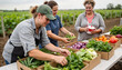 © SVETLANA - Women sorting fresh vegetables at a farm market during the day
