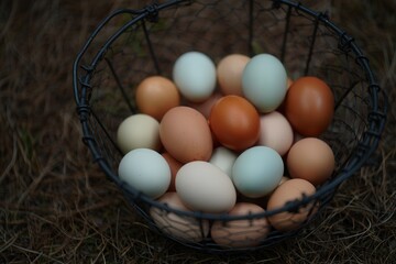 Poster - A basket filled with brown and white eggs.