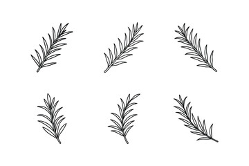 rosemary sprig icon line art vector illustration