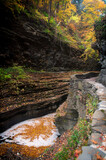 watkins glen state park gorge autumn