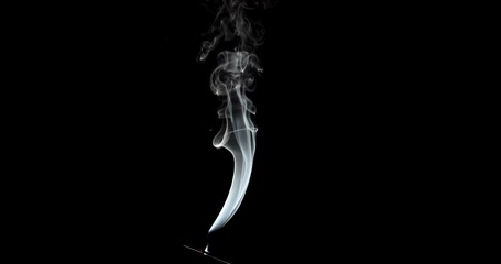 Wall Mural - Real smoke on a black background. Thin Flexible Trickle of Real Smoke. Colorful real smoke rises up. Ideal for background or over-layer with blending mode add, screen, lighten.
