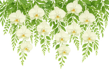 Poster - Delicate watercolor white orchids cascading with verdant leaves, forming graceful botanical border against translucent backdrop