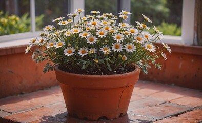 Poster - Potted plant with white flowers sits on a brick floor. The plant is in a small pot and is surrounded by a brick wall. The flowers are in full bloom, and the pot is placed on a ledge. The scene is