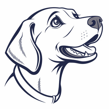Dog vector