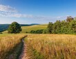 © Stefan Schurr - Rural landscape in late summer. Rural landscape with a path, trees and meadows on hills