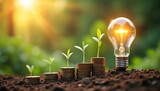 Light bulb plant growing on coins, business investment concept. Green sprout, financial growth, money saving, eco friendly business concept, sustainable development, innovation, new ideas, financial