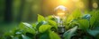 © Viktor - Bright light bulb inside fresh green leaves. Concept of green energy, eco technology. Symbol of innovative renewable resources, environment protection. Promoting clean power.