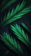 ©  Sheton - 암흑 속의 녹색 야자수 잎, 어두운 배경의 열대 식물