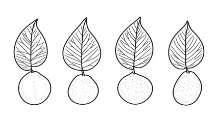 Guava Leaf Tropical Fresh Green Drawing